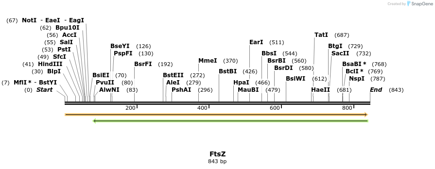155756_map