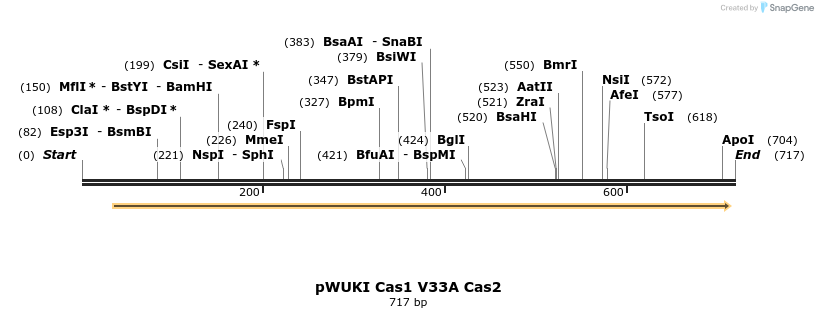 155761_map