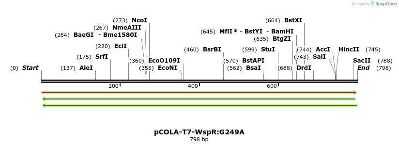 155763_map