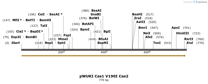 155768_map