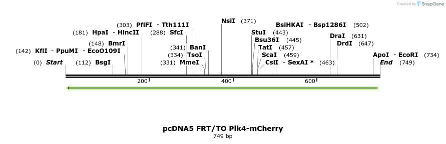 155771_map