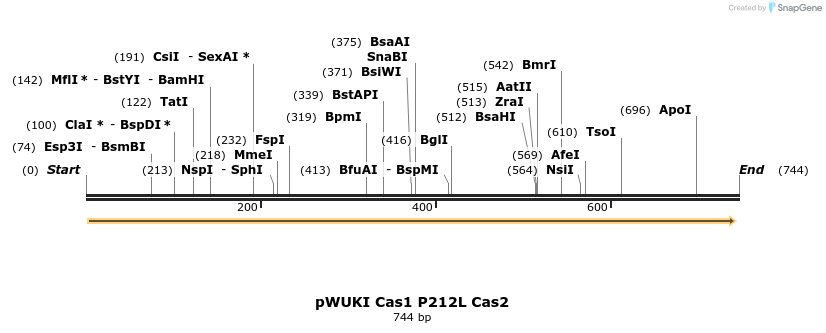 155786_map
