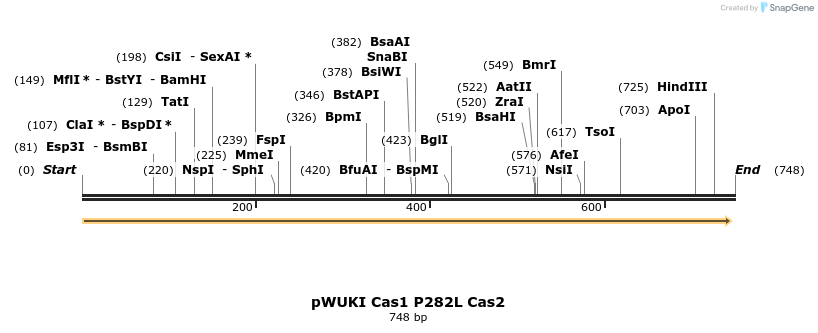 155788_map