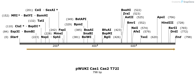 155790_map