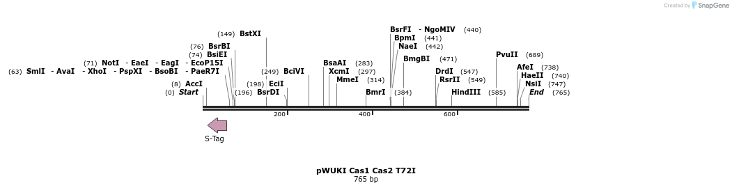155791_map