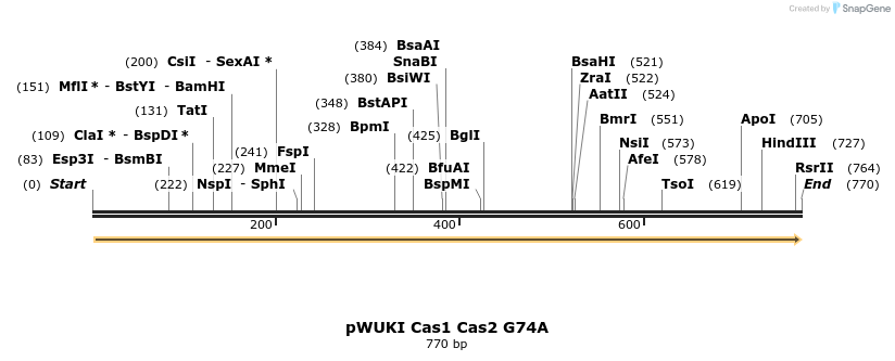 155792_map