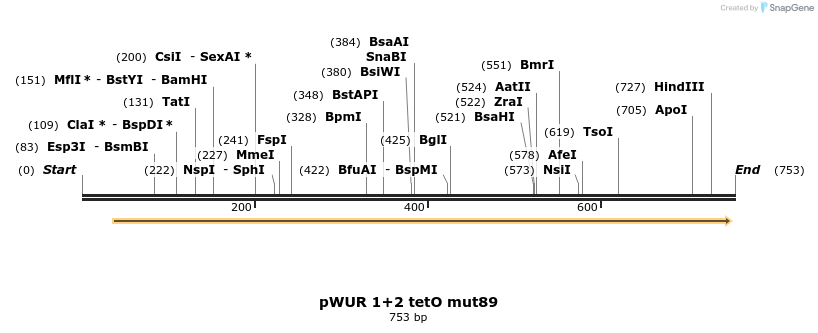 155795_map