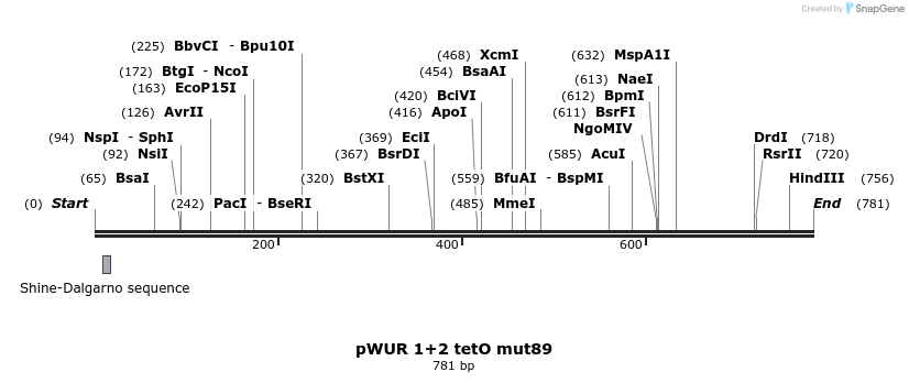 155796_map