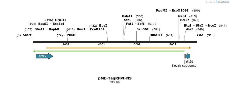 155797_map