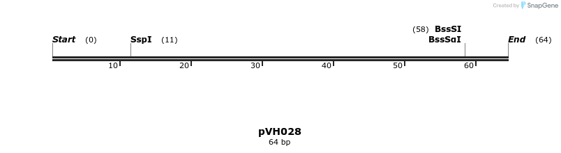 155807_map