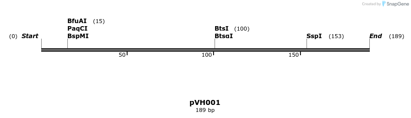 155811_map