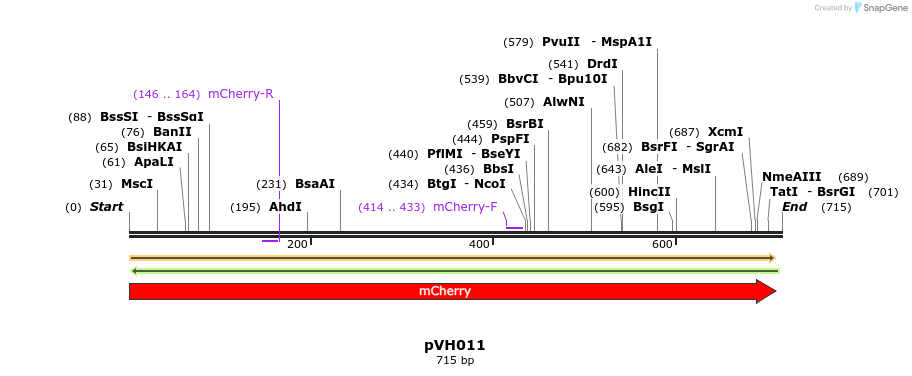 155814_map