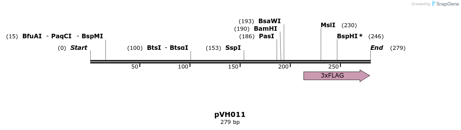 155815_map