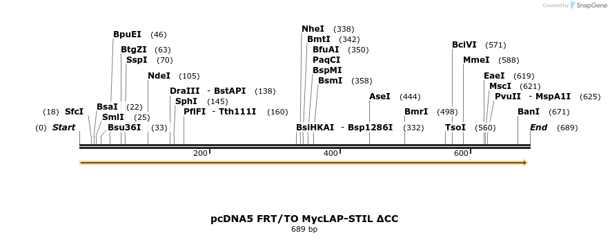 155835_map