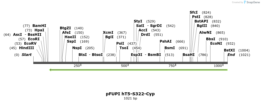 155856_map