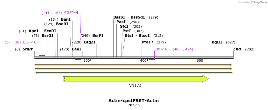 155875_map