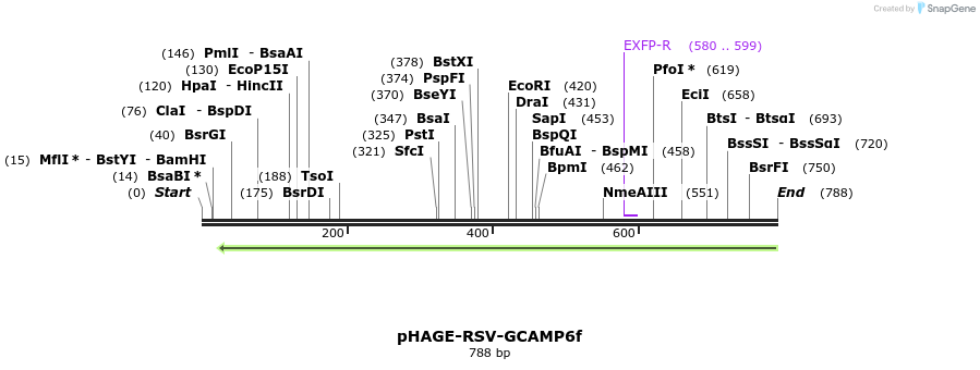 155882_map