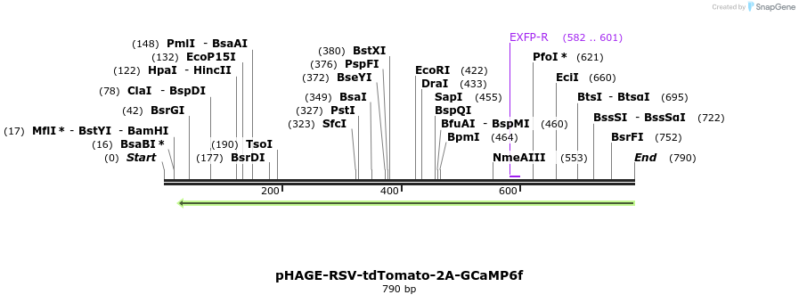 155886_map