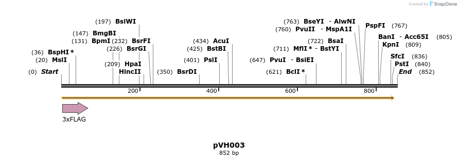 155891_map