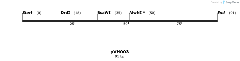 155894_map
