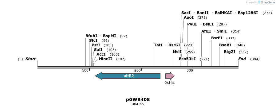 155904_map