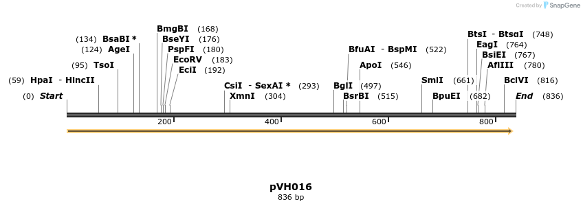 155906_map