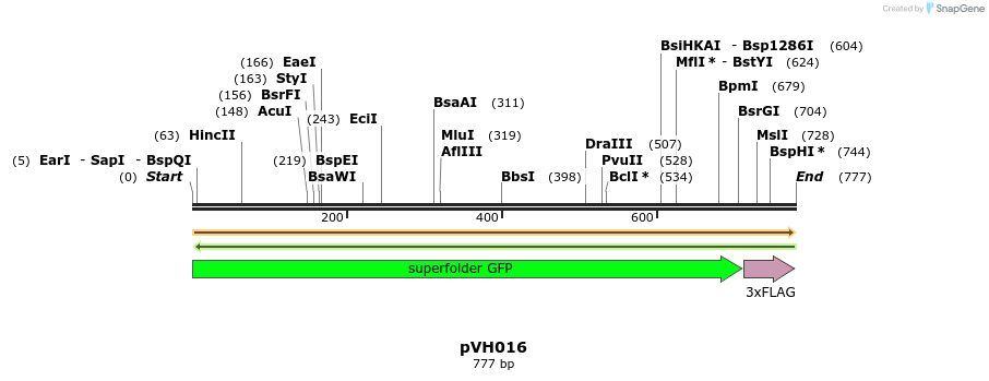 155907_map