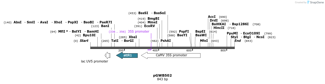 155918_map