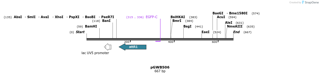 155920_map