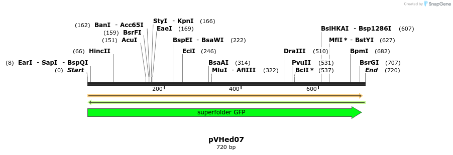 155923_map