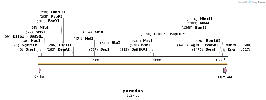 155926_map