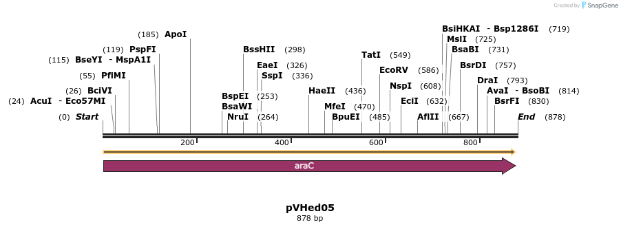 155928_map