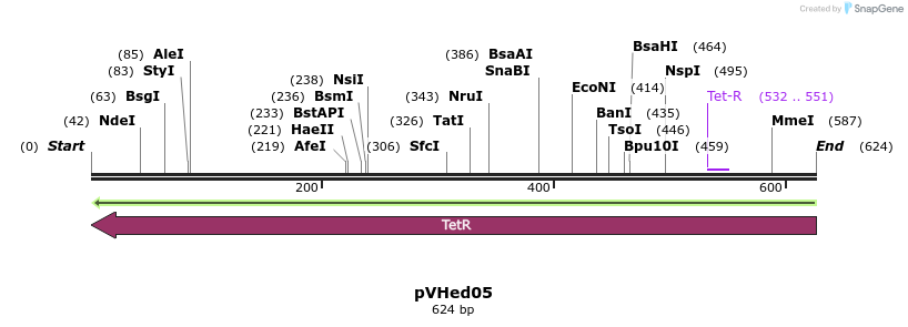 155929_map