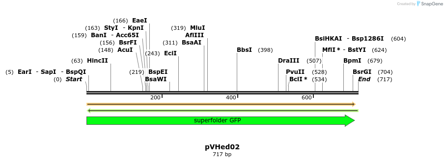 155931_map