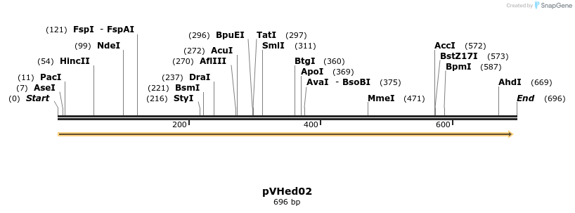 155932_map