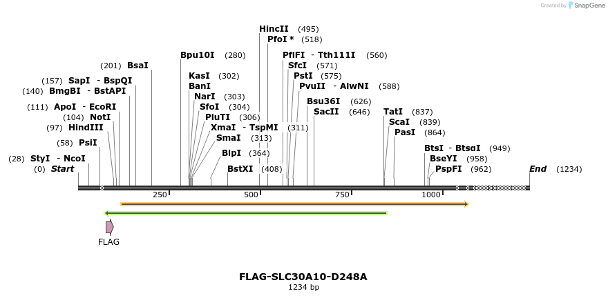 155934_map