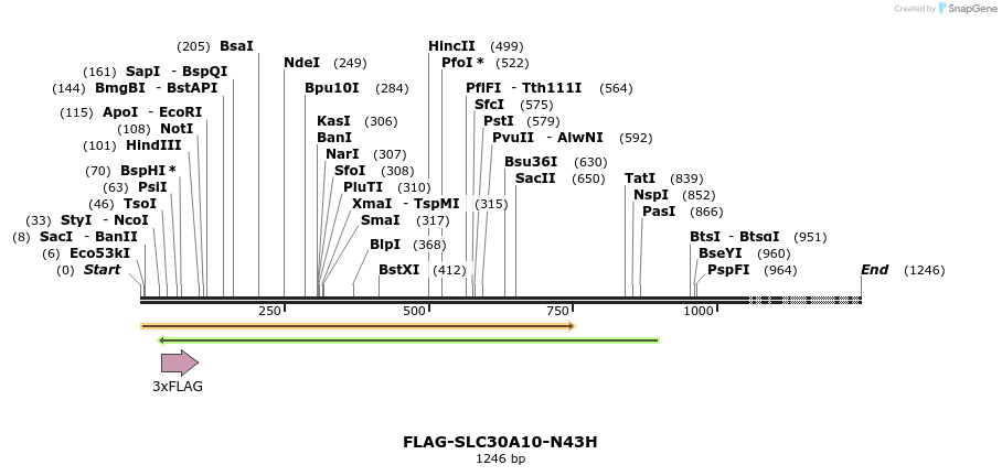 155936_map