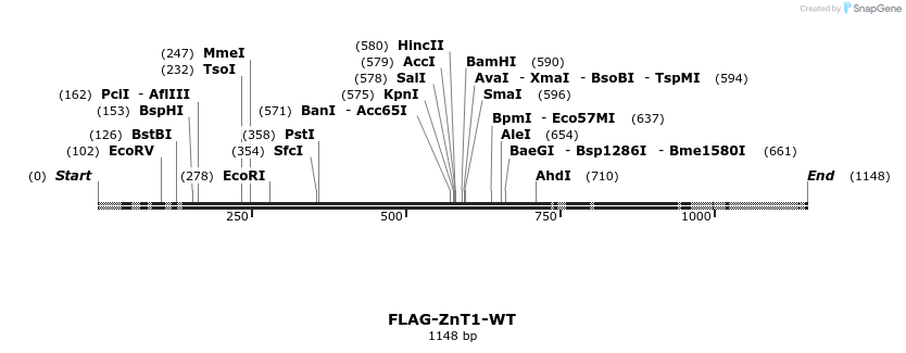 155939_map