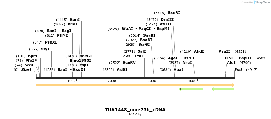 155944_map
