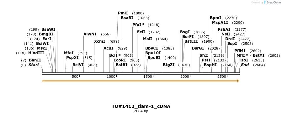 155946_map