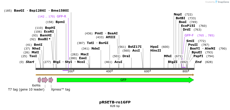 155947_map