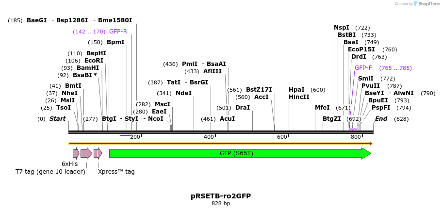 155948_map