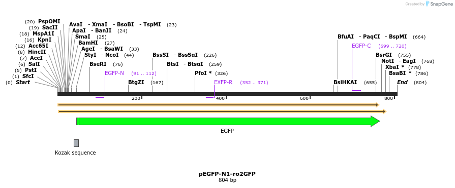 155951_map