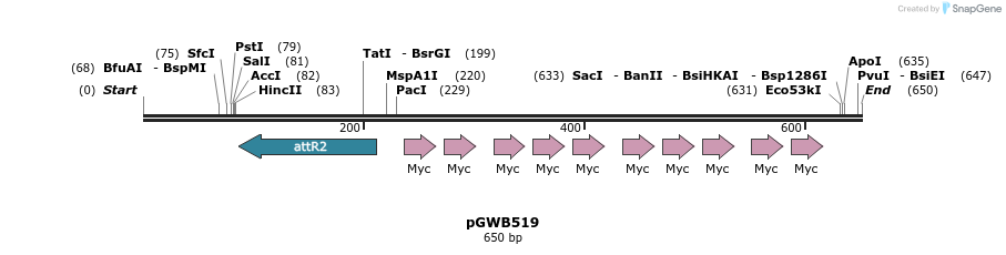 155953_map