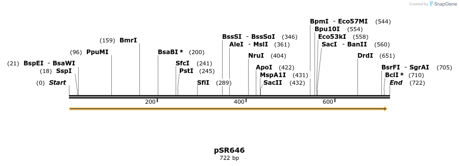 155968_map