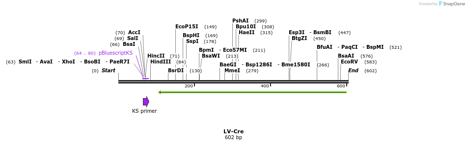 155972_map