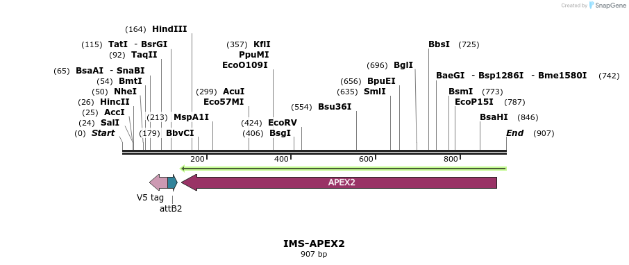 155977_map