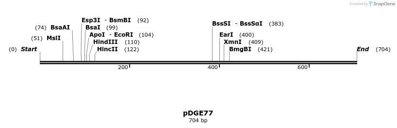 156010_map