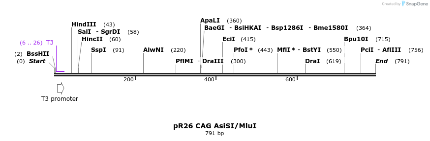 156011_map