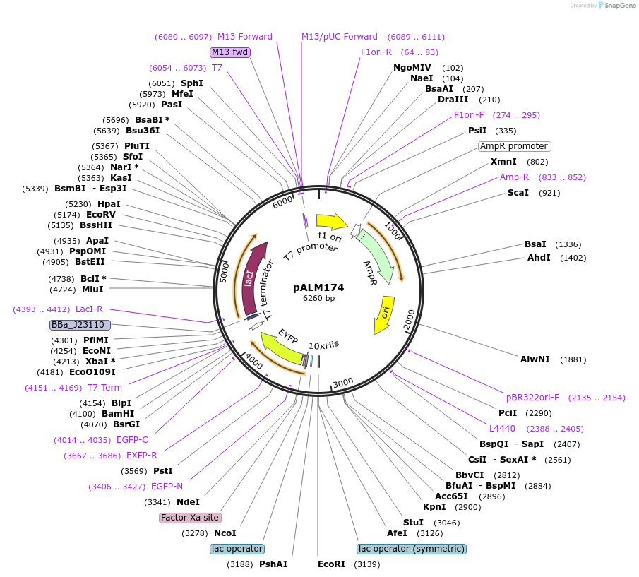 156016_map